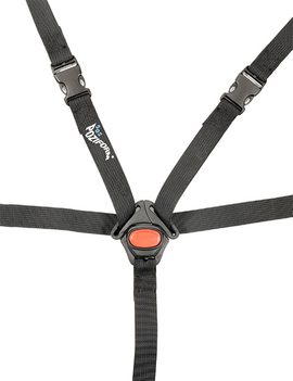 520 Point20 Harness