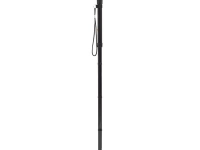 Walking Stick WS008 S 2998