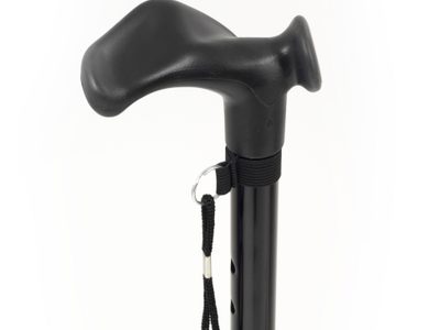 Walking Stick WS008 S 2999