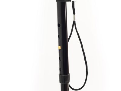 Walking Stick WS008 S 3001