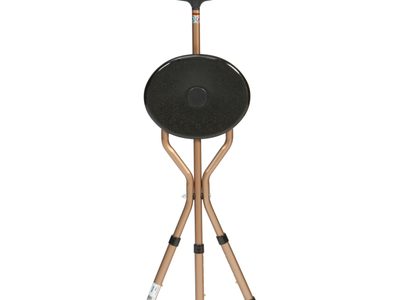 Cane20 Seat2010365 ADJ folded