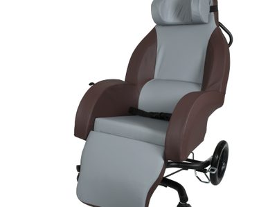 Selectis Shell Chair SHELLSEL 1